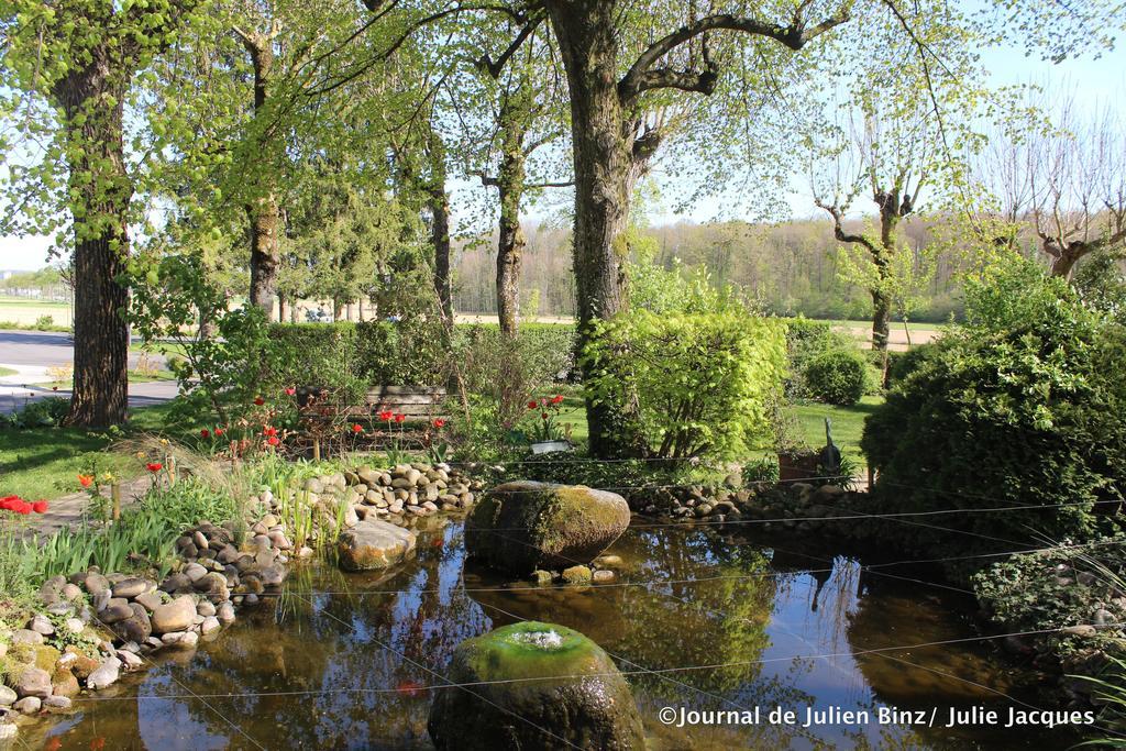 Auberge Sundgovienne Carspach Bagian luar foto